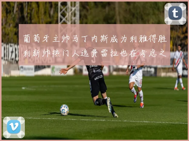 葡萄牙主帅马丁内斯成为利雅得胜利新帅热门人选费雷拉也在考虑之中