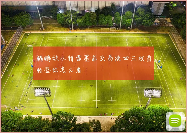 鹈鹕欲以特雷墨菲交易换回三枚首轮签你怎么看